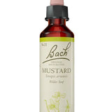 Original Bach®-Blüte Nr. 21 Mustard – Wilder Senf
