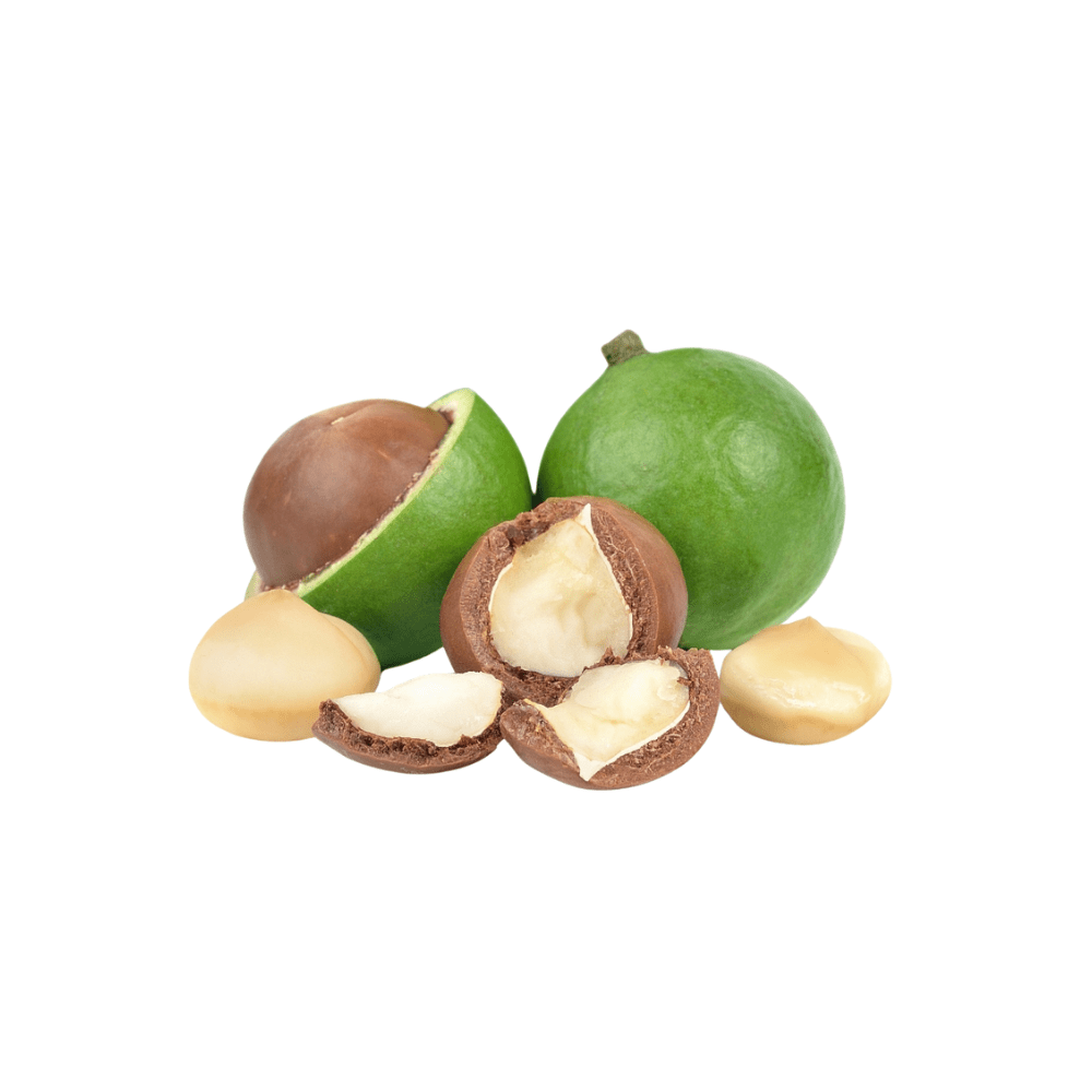 Macadamianussöl Bio – Bild 1