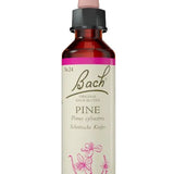 Original Bach®-Blüte Nr. 24 Pine – Kiefer