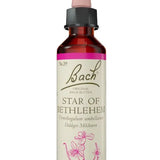 Original Bach®-Blüte Nr. 29 Star of Bethlehem – Doldiger Milchstern