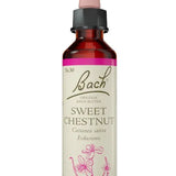 Original Bach®-Blüte Nr. 30 Sweet Chestnut – Edelkastanie
