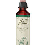 Original Bach®-Blüte Nr. 33 Walnut – Walnuss