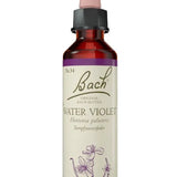 Original Bach®-Blüte Nr. 34 Water Violet – Sumpfwasserfeder