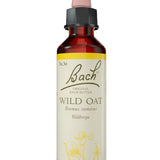 Original Bach®-Blüte Nr. 36 Wild Oat – Waldtrespe
