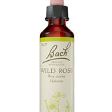 Original Bach®-Blüte Nr. 37 Wild Rose – Heckenrose