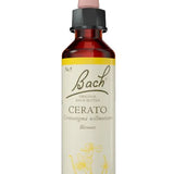 Original Bach®-Blüte Nr. 5 Cerato – Bleiwurz