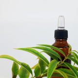INDIVIDUALLY BLEND HERBAL TINCTURES