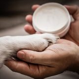 Sali di Schüßler per i vostri amici a quattro zampe