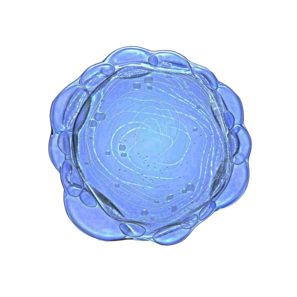 LIPIKAR&nbsp;GEL LAVANT DUSCHGEL – Abbildung – Bild 1