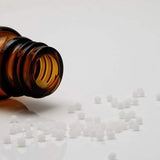 HOMÖOPATHISCHE HAUS- UND REISEAPOTHEKE NACH DR. SELLNER 30 PHIOLEN